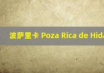 波萨里卡 Poza Rica de Hidalgo